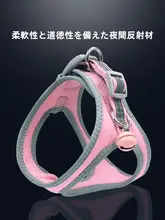 中小型犬用ハーネスとリード【ウェストスタイル・比熊対応】
