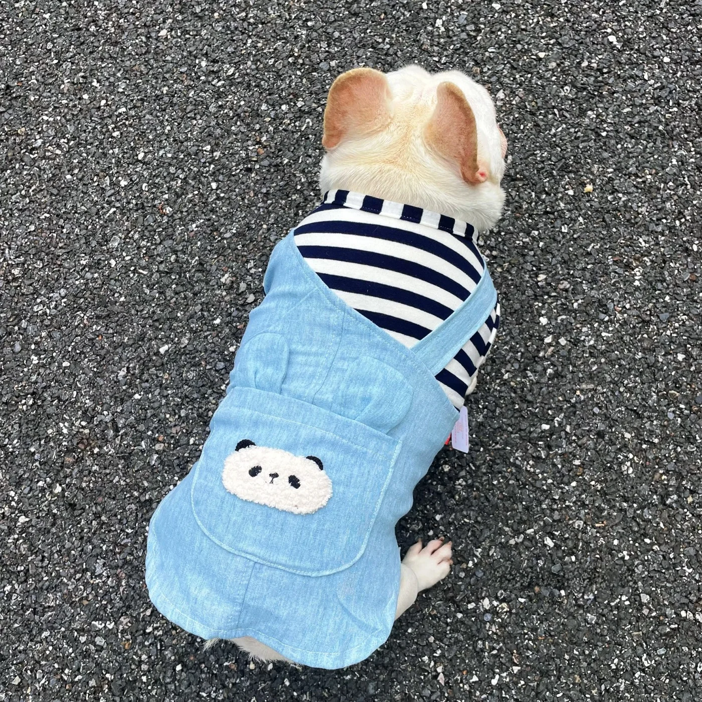デニム風ペットウェア ブタ鼻デザイン セットアップ対応 夏季用 犬用