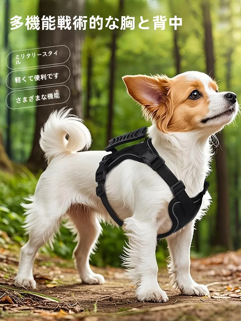 犬のお散歩グッズをコスパ良く揃える方法　完全ガイド