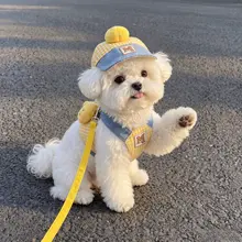 可愛いデザインの犬用ハーネス【通気性・脱出防止・猫用も対応】