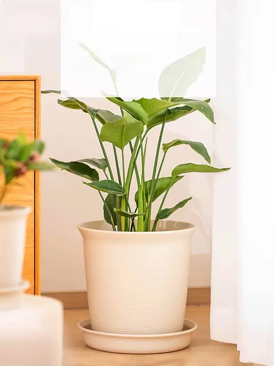 加厚プラスチック製植木鉢【深型・グリーンロート・ラン・観葉植物用・陶器風】