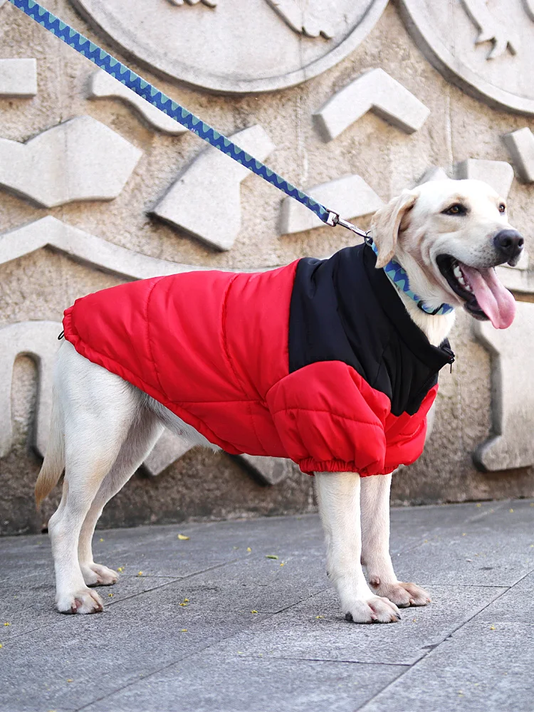 犬のお散歩グッズをコスパ良く揃える方法｜ダウンコットンジャケットの実測ガイド