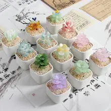 クリスタルガラス製 鉢植え多肉植物とカクタスのアートインテリア【贈り物にも最適】