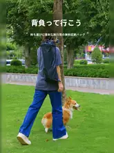 ペット用 折りたたみ式ドッグベッド【防湿・通気性・洗える・小型犬・中型犬用】