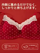 華やかなレッドのランジェリーセット【小胸向け・ノー打孔・結婚式用】（セットアップ対応）
