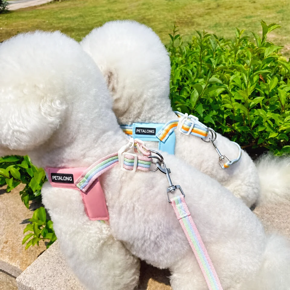 夏用 通気性のあるバイカラー犬用ハーネス【小型犬用・首に優しいリード付き】