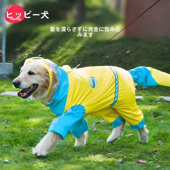 撥水加工の大型犬用レインコート【フルカバー・四足・カラーブロック・ゴールデンレトリバー・サモエド・ボーダーコリー・ハスキー・アラスカンマラミュート対応】