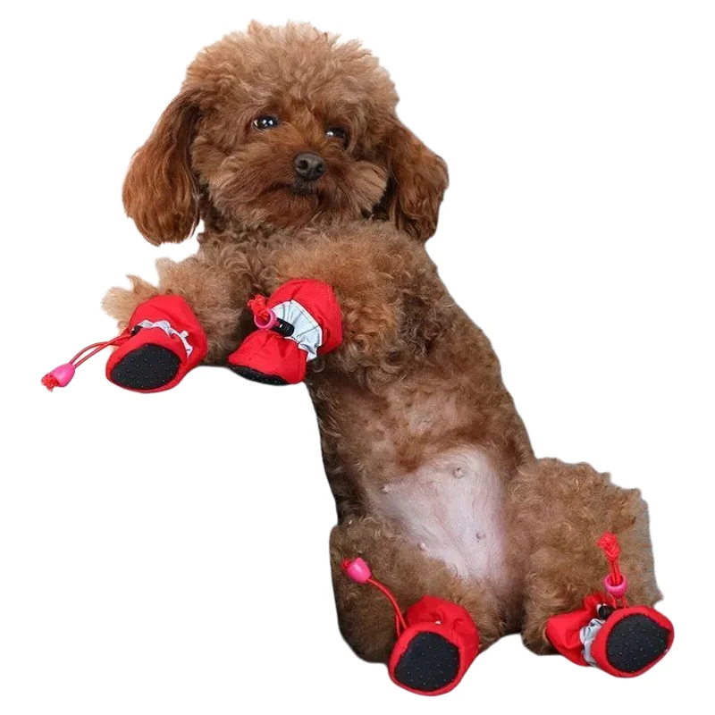 犬用靴をどう選ぶ？中型犬向けの秋冬用ソフトソールが今、注目されている理由