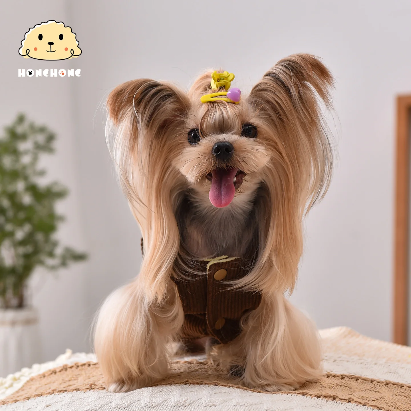 保温性に優れた犬用ダウンベスト：小型犬向けの冬用防寒服の実用性と選び方