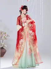 唐風刺繍デザイン 大袖シャツ【春夏用・百褶スカート・女性用】（セットアップ対応）