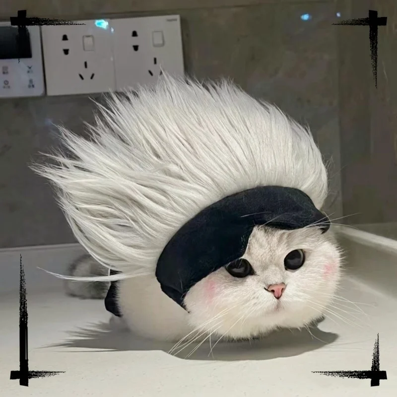 猫耳フードアイマスク：ハロウィン犬服としての実用性とデザイン特性