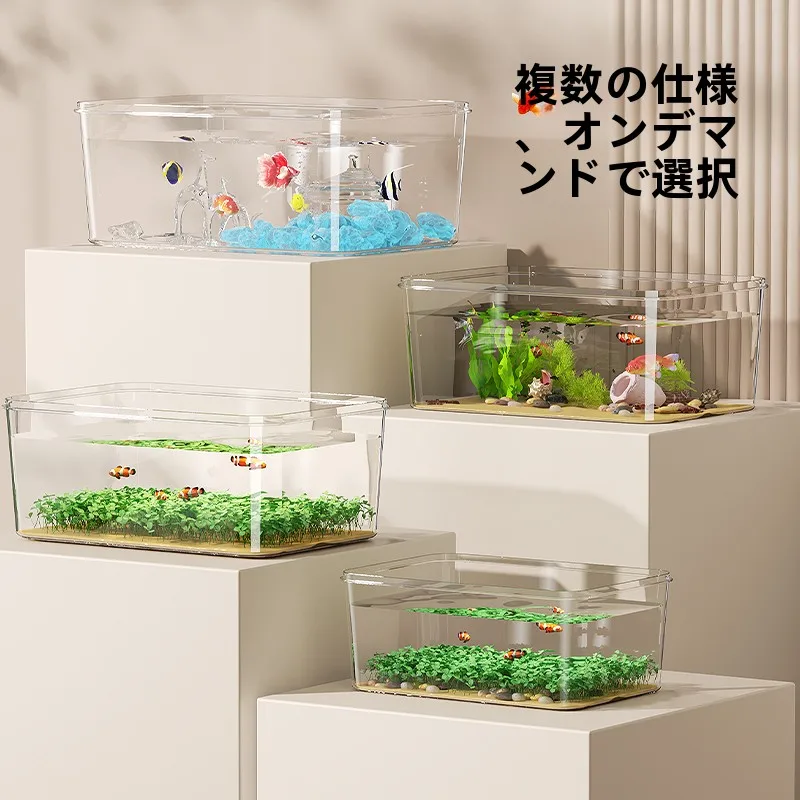 メダカ稚魚水槽で安定した環境を実現する透明バイザガラス小型アクアリウム
