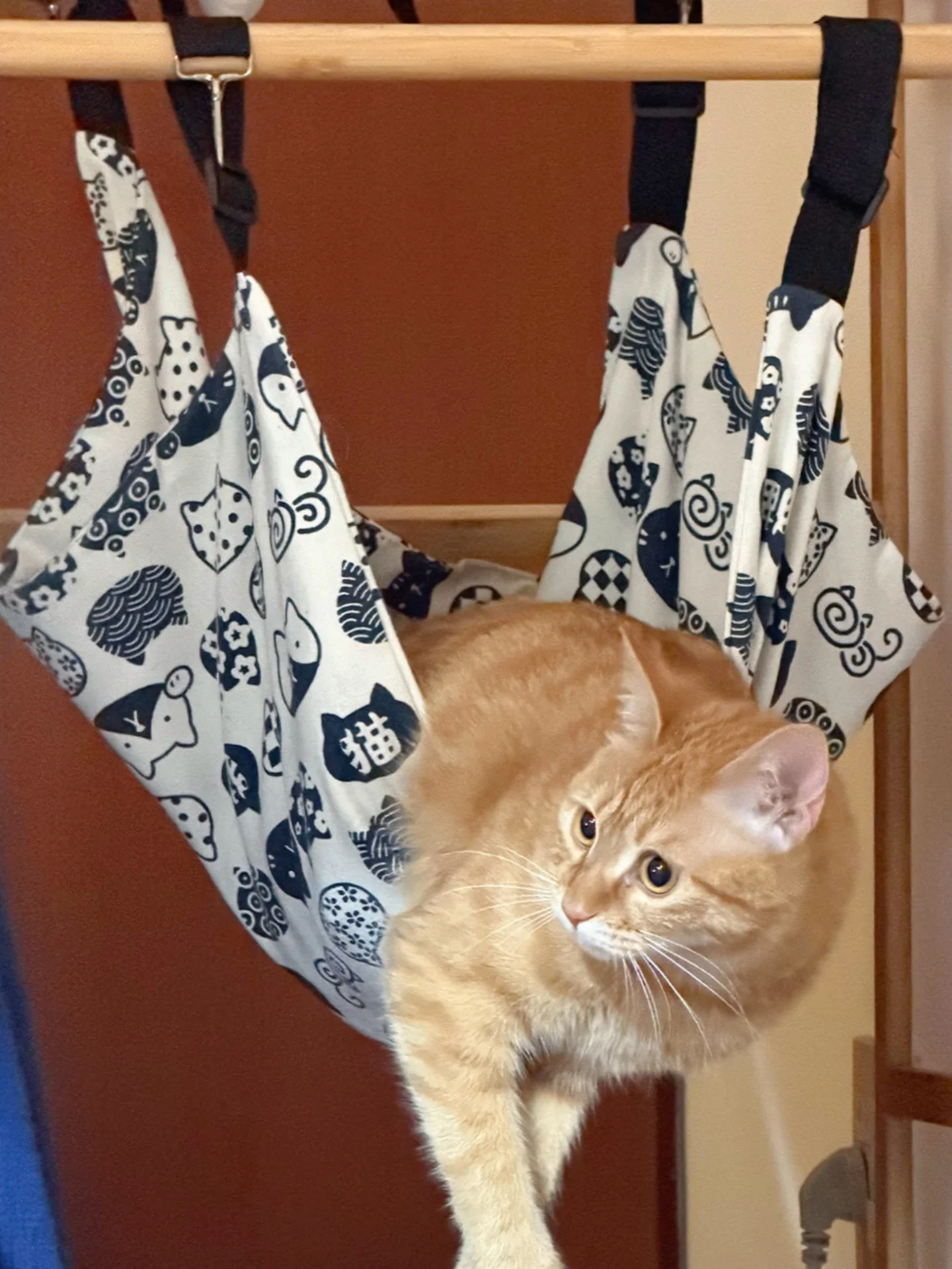 猫用吊りハンモック：通気性に優れた夏季室内避難グッズの実用性と選び方