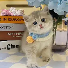 可愛いデザインの手編みペット用スカーフ【無音ベルボール付き・猫・小型犬・うさぎ用】（セットアップ対応）