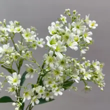 リッチなデザインのオシャレな瑞香花シングルフラワー【インテリア装飾用・ウェディングブーケ対応】