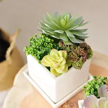 リアルな多肉植物の鉢 陶器鉢 装飾品 植物の置物