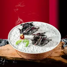 プレート 丸型 冷菜やお菓子に最適 陶器 ストーン模様 白色