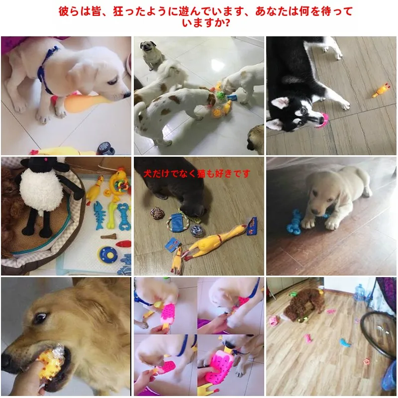 犬のお散歩グッズをコスパ良く揃える方法｜噛みつきに強いロープ結びおもちゃの実測ガイド