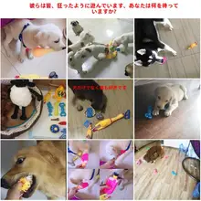 犬用ロープ結びおもちゃ【噛むのに強い・小型犬用・テディベアや子犬向け】