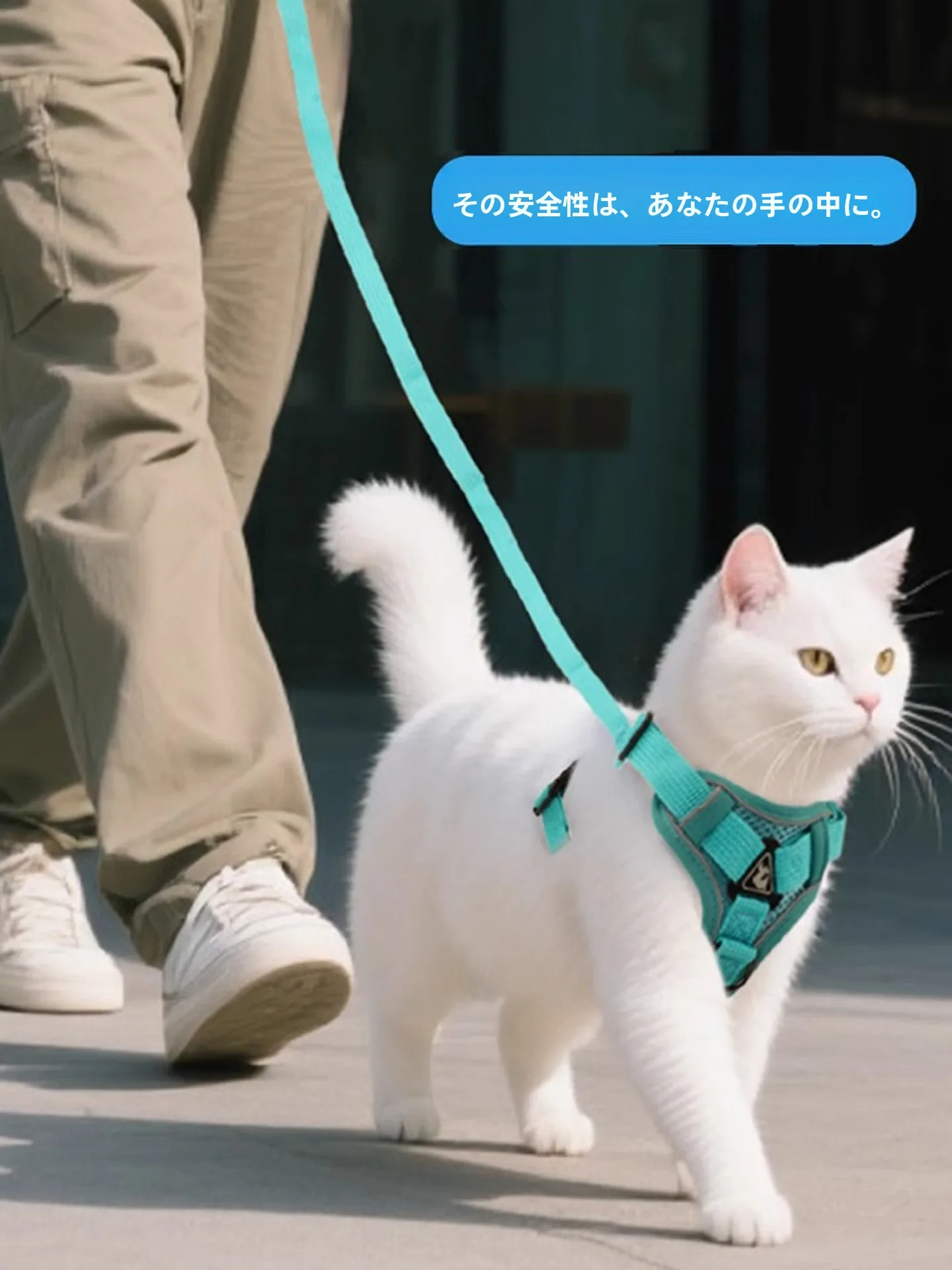猫飼いが買ってよかったもの・悪かったもの正直に言う｜キャットハーネスの選び方と実際の効果