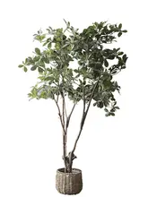 フェイツリー 大型植物 室内 家具 グリーン デコレーション