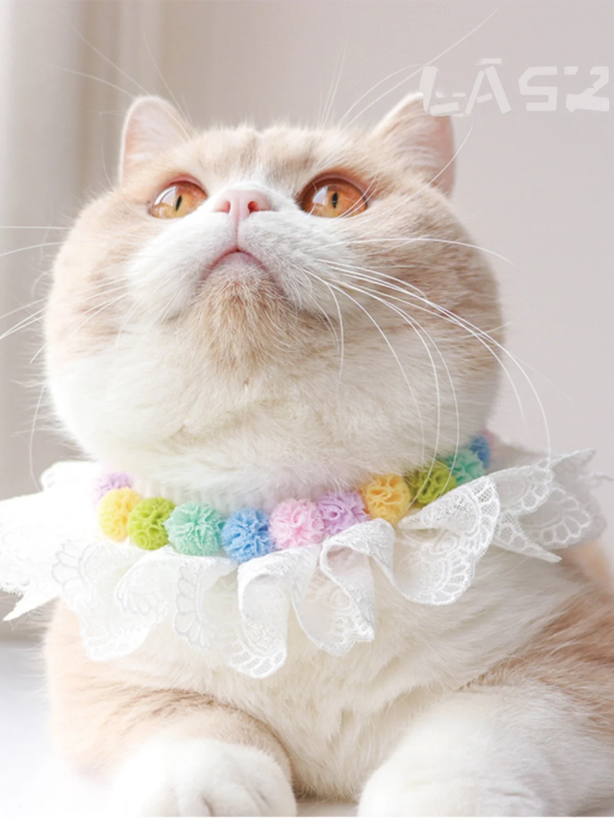 猫のヘアアクセサリー おすすめ5選：どんなものがある？価格比較と選び方の実践ノウハウ
