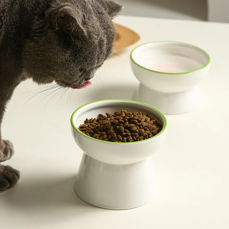 猫飼いが買ってよかったもの・悪かったもの正直に言う｜高脚陶製ボウルの健康効果と実際の使い心地