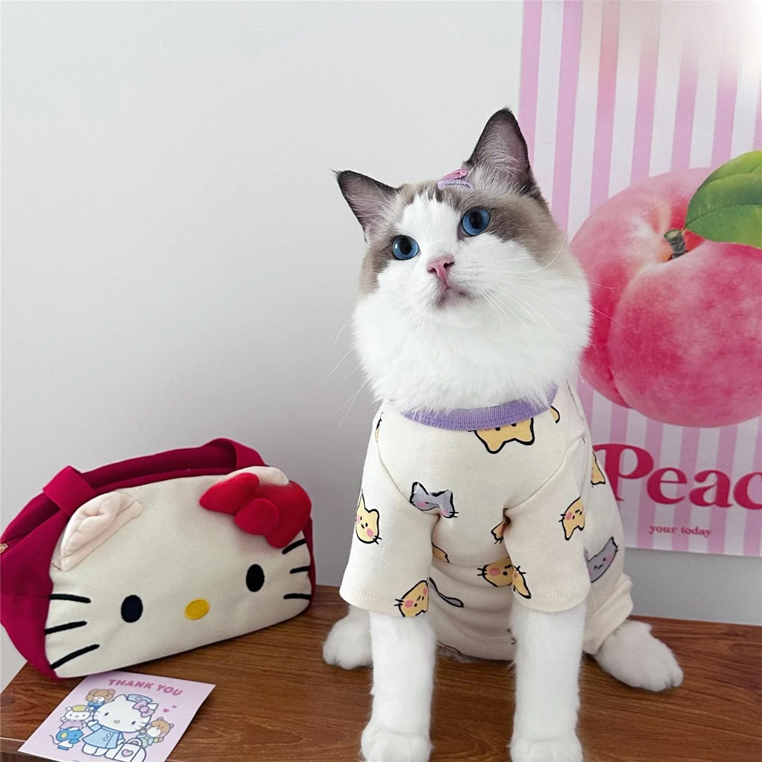 チワワとトイプードルのハーフにぴったりの秋冬ペット服は？
