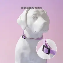マカロンカラーの犬用リード【調整可能・中小型犬用・散歩用】