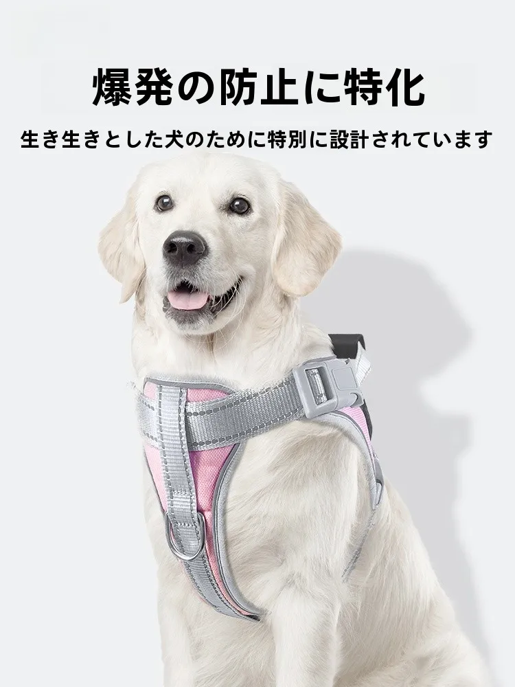 キャンプ道具を節約調達｜実際に使ってみた結果　自転車テントの実用性と色選びのポイント