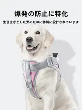 中型犬用ハーネス付きリード【ラブラドール・ゴールデンレトリバー・コーギー対応・衝撃吸収】
