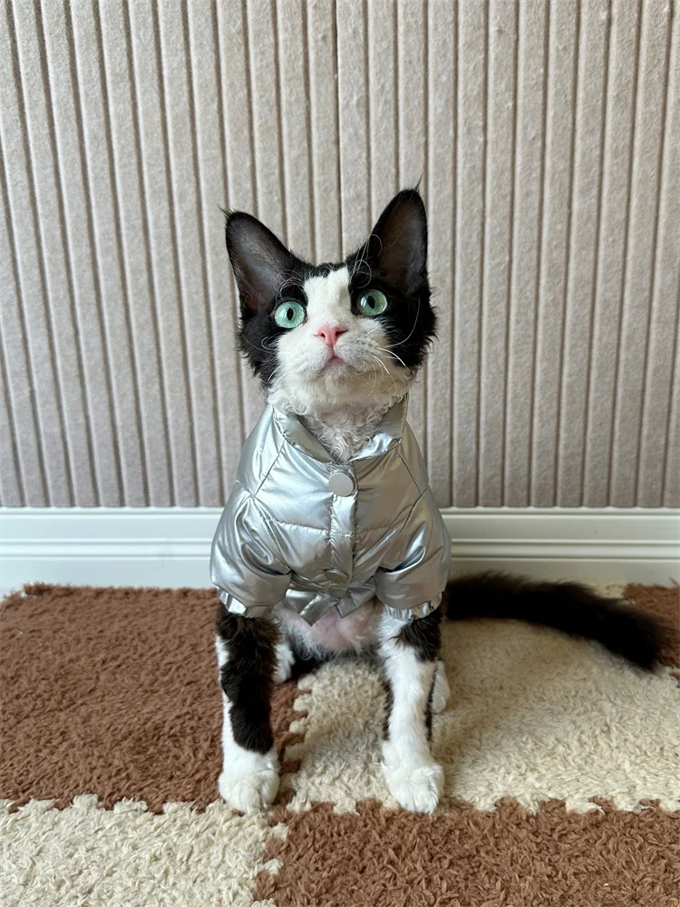 猫飼いが買ってよかったもの・悪かったもの正直に言う - 冬用中綿ジャケットの保温性とフィット感