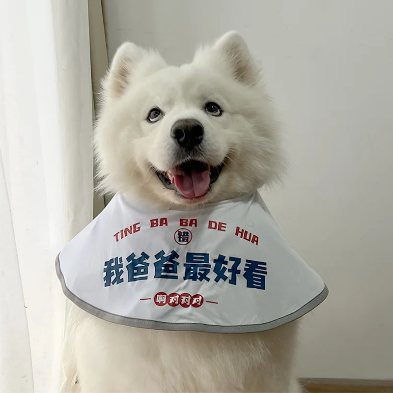 介護犬の日常を彩る、どんなマナーポーチがおすすめなの？