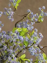 高級造花 ホワイトオーキッドと小花のデザイン【インテリア装飾・リビング・ダイニング用】
