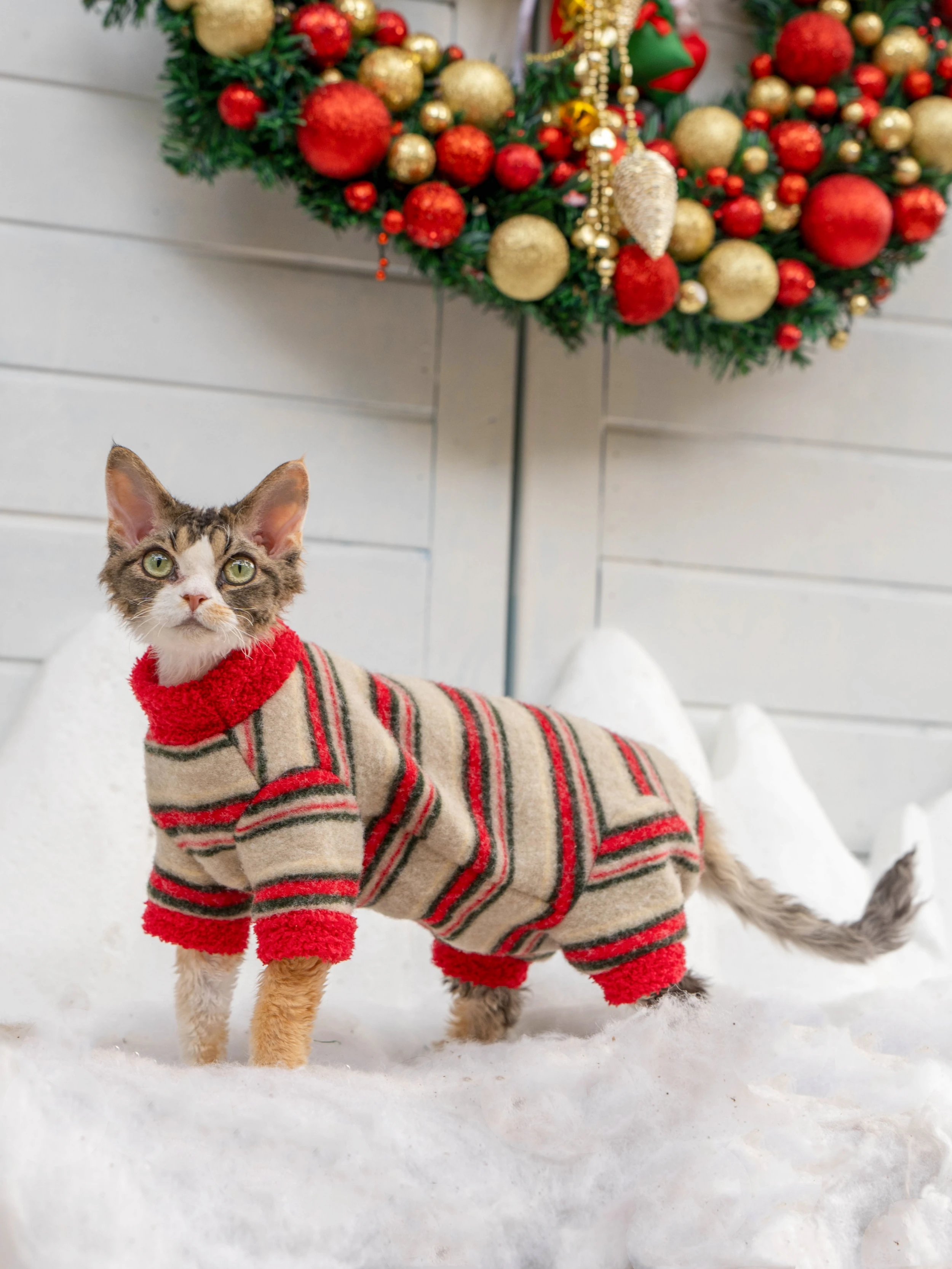 クリスマス雰囲気の4脚用デボンレックス 猫用服は冬の寒さに強い厚手パーカーか