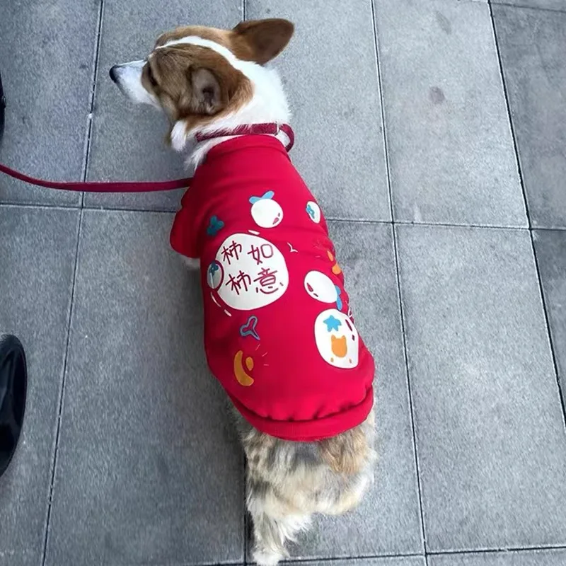 犬のクリスマスプレゼントにどんな服がおすすめ？人気の「お正月服」が実は冬の季節に最適な理由