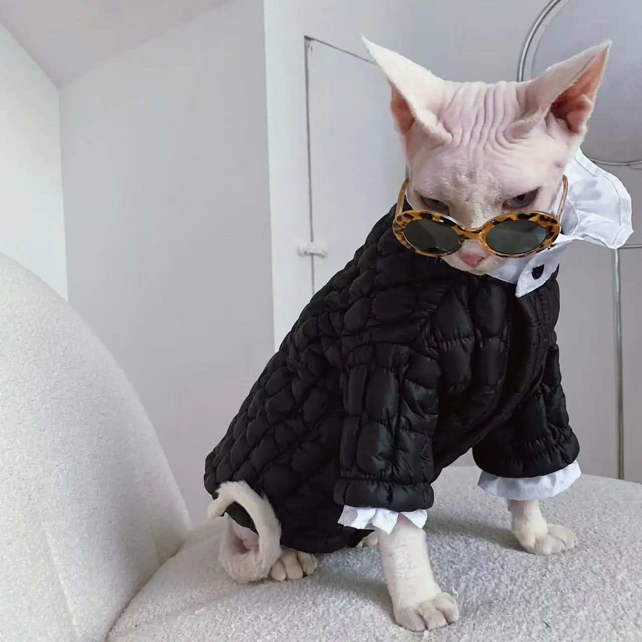 ズボラでも飼えるペットとしてのスフィンクス猫用冬用保温服