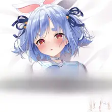 ウサギデザインの抱き枕【新衣装・ハーフサイズ】