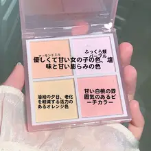 多色マットタイプのバイカラーリップ＆チークパレット【ナチュラルメイク用・女性向け】（セットアップ対応）