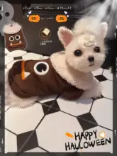 冬用厚手マルチーズパーカー【牽引付き・ハロウィン用・ビションフリーゼデザイン】