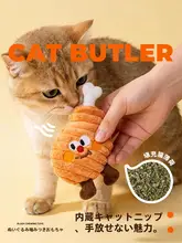 猫用おもちゃ【サウンドペーパー・噛むおもちゃ・猫じゃらし】