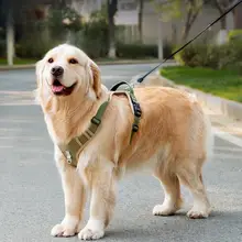 大型犬用ハーネスとリードセット【胸部サポート・耐久性・中型犬対応】