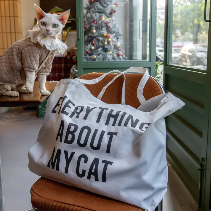 猫用大容量キャンバスバッグ【外出時に便利・収納力抜群】