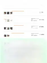 夜光機能付き 大物用釣り浮き【  日夜兼用・太め・目立つカラー・変色タイプ】