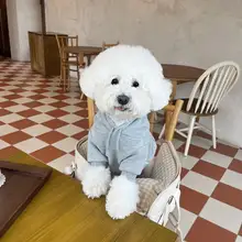 秋冬用フード付き加圧トレーナー【テディ・ポメラニアン・プードル・シュナウザー・小型犬用】