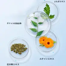 目の疲れを和らげる！石斛千里光アイパッチ【冷却タイプ・学生・大人用】
