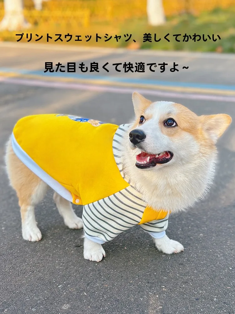 中型犬用フード付きペットウェア【春用・快適な着心地】の選び方と実用性