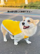 中型犬用 フード付きペットウェア【春用・快適な着心地】（セットアップ対応）