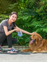 アイリス 犬用 ペット用ハーネス【大型犬対応・テディ用・リード付き】
