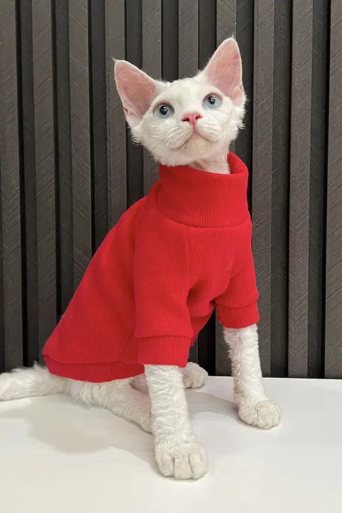 暖かさとスタイルを両立！高い襟の猫用フリースセーター【レッド・スフィンクス猫向け】